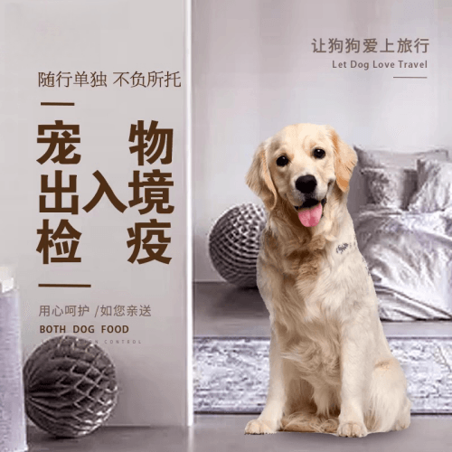 泉州市宠物托运到哥伦比亚猫狗宠物入境规定和