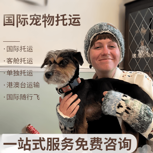 泉州市国际宠物托运到阿根廷宠物入境规定和要