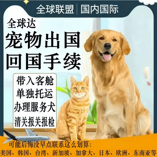 泉州市宠物托运到柬埔寨宠物入境规定和要求