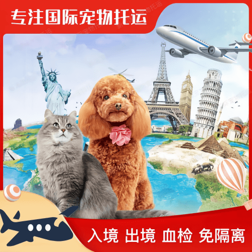 泉州市宠物托运到美国宠物入境最新规定和要求