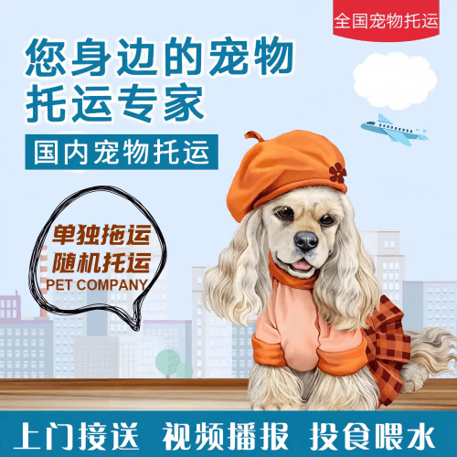 满财泉州市宠物全球达宠物托运作为专业的宠物运输代理机构
